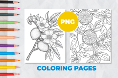 Orange sprig Coloring Pages | Coloring book Product Image 1