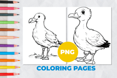 Gull Coloring Pages | Coloring book Product Image 1