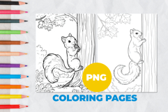 Squirrel on a tree Coloring Pages | Coloring book Product Image 1