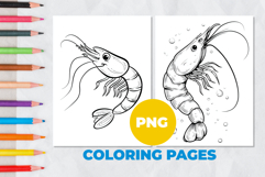 Shrimp Coloring Pages | Coloring book Product Image 1