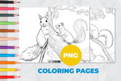 Squirrel on a tree Coloring Pages | Coloring book Product Image 1