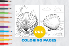 Seashell Coloring Page | Coloring book Product Image 1