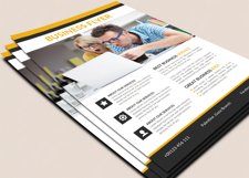 Business Flyer Product Image 2