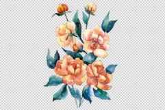 Bouquet of flowers Dimeter orange watercolor png Product Image 2