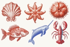 Undersea World vintage style. Collection of underwater world Product Image 2