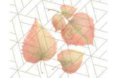 Fall Foliage Clipart PNG, Pink and Green Leaves Product Image 2