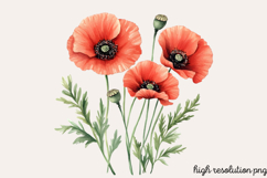 Watercolor Spring Flowers Clipart PNG Product Image 1