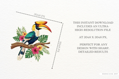 Summer Tropical Birds Clipart Product Image 5