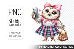Teacher Owl Clipart PNG, Cute Owl, Digital Download File Product Image 1