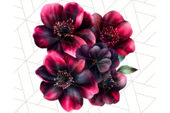 Gothic Floral PNG, Dark Aesthetic Flowers Clipart Print Product Image 2