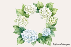 Hydrangea Watercolor Clipart PNG Product Image 1