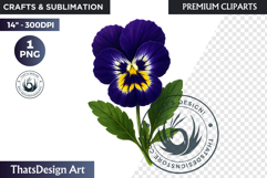 Flower Clipart PNG, Botanical Illustration Floral graphic Product Image 1