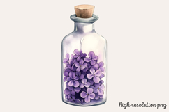 Lilac Flower Watercolor Cliparts PNG Product Image 1