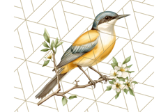 Vintage Song Bird Clipart PNG, Botanical Bird Art Clip Art Product Image 2
