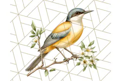 Vintage Song Bird Clipart PNG, Botanical Bird Art Clip Art Product Image 2