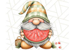 Summer Garden Gnomes Clipart PNG, Summer Country Gnomes Png Product Image 2