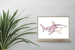 Cute Hammerhead Shark Marine Animal PNG Summer Sea Aquatic Product Image 2