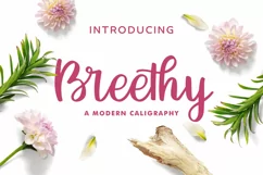 Worth It Font Bundle - Free Font Of The Week Product Image 16
