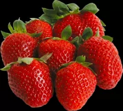 100 FRUITS TRANSPARENT PNG FILES, PHOTOSHOP OVERLAYS Product Image 10