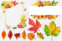 Watercolor autumn splendor Product Image 5