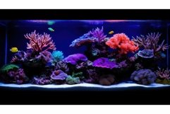 halogen aquarium lighting Product Image 1