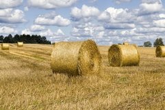 agricultural field after harvesting Product Image 1