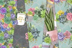 Succulent Plants - Digital Pattern Product Image 3