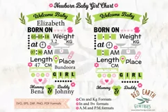 Baby girl announcement chart template SVG,DXF,PNG,EPS,PDF Product Image 1
