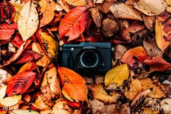Fall Decor Mobile & Desktop Lightroom Presets Product Image 2