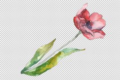 Bouquet of prometheus tulip Watercolor png Product Image 3