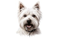 Cairn Terrier Dog Clipart | Watercolor Dog Clipart PNG Product Image 1