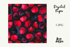Red Rose Petals Seamless Pattern Black Lace Dark Romance Product Image 2