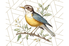 Vintage Song Bird Clipart PNG, Botanical Bird Art Clip Art Product Image 3