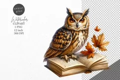 Halloween clipart, Owl clipart, Autumn clipart Product Image 1