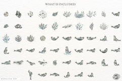 Summer Seal Clipart Product Image 4