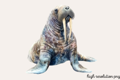 Underwater Animals Clipart PNG Product Image 1