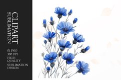 Watercolor blue cornflowers clipart sublimation Product Image 1