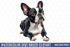 Watercolor Dog Breed Clipart Product Image 1