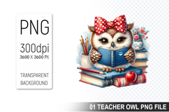 Teacher Owl Clipart PNG, Cute Owl, Digital Download File Product Image 1