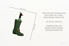 St Patricks Day Goose Clipart Product Image 6