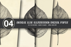 Antique Leaf Illustration Digital Paper Product Image 1