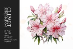 Watercolor azalea blooms flower sublimation clipart Product Image 1