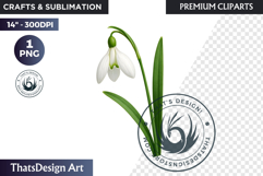 Flower Clipart PNG, Botanical Illustration Floral graphic Product Image 1