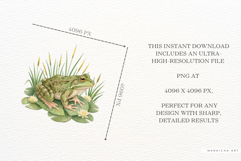 Summer Frog Pond Clipart Product Image 7