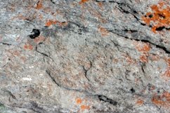 Closeup shot of a big stone Product Image 1