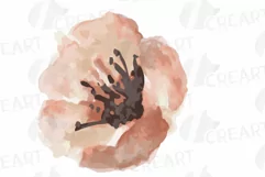 Faded orange and blush flowers and green leaves watercolor Product Image 15