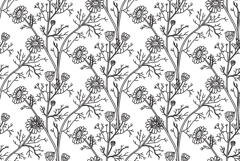 Line art botanical seamless floral pattern with chamomile Product Image 1