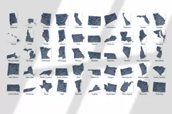 Political divisions of the US. Denim with tiger skin print Product Image 5