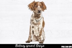 Brittany spaniel Sublimation, Brittany spaniel PNG desig Product Image 1