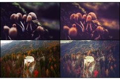 30 Fairy Tale Lightroom Presets Product Image 2